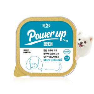 [넾다세일] 엘릿 파워업 강아지 캔 황태, 100g, 20개