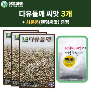산들마켓 다유들깨 씨앗 20g 다수확 토종 들깨씨 종자 3개+랜덤씨앗1개 증정