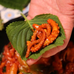 하남 맛집 캠핑 집들이 5분 원팩 대용량 낙지볶음 620g 3-4인분