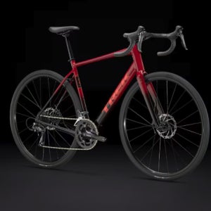 트렉 로드자전거 도마니AL2 4세대 입문급사이클