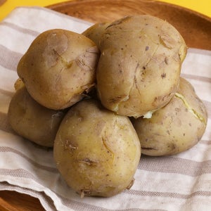 아침몰 실온보관 꿀맛 감자 120g, 10개