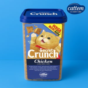 캣템 시크릿크런치 고양이 이빨 과자 비스켓 치킨, 420g, 1개