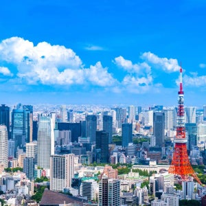 도쿄 일일투어 자유일정 전용차량 단독 이용