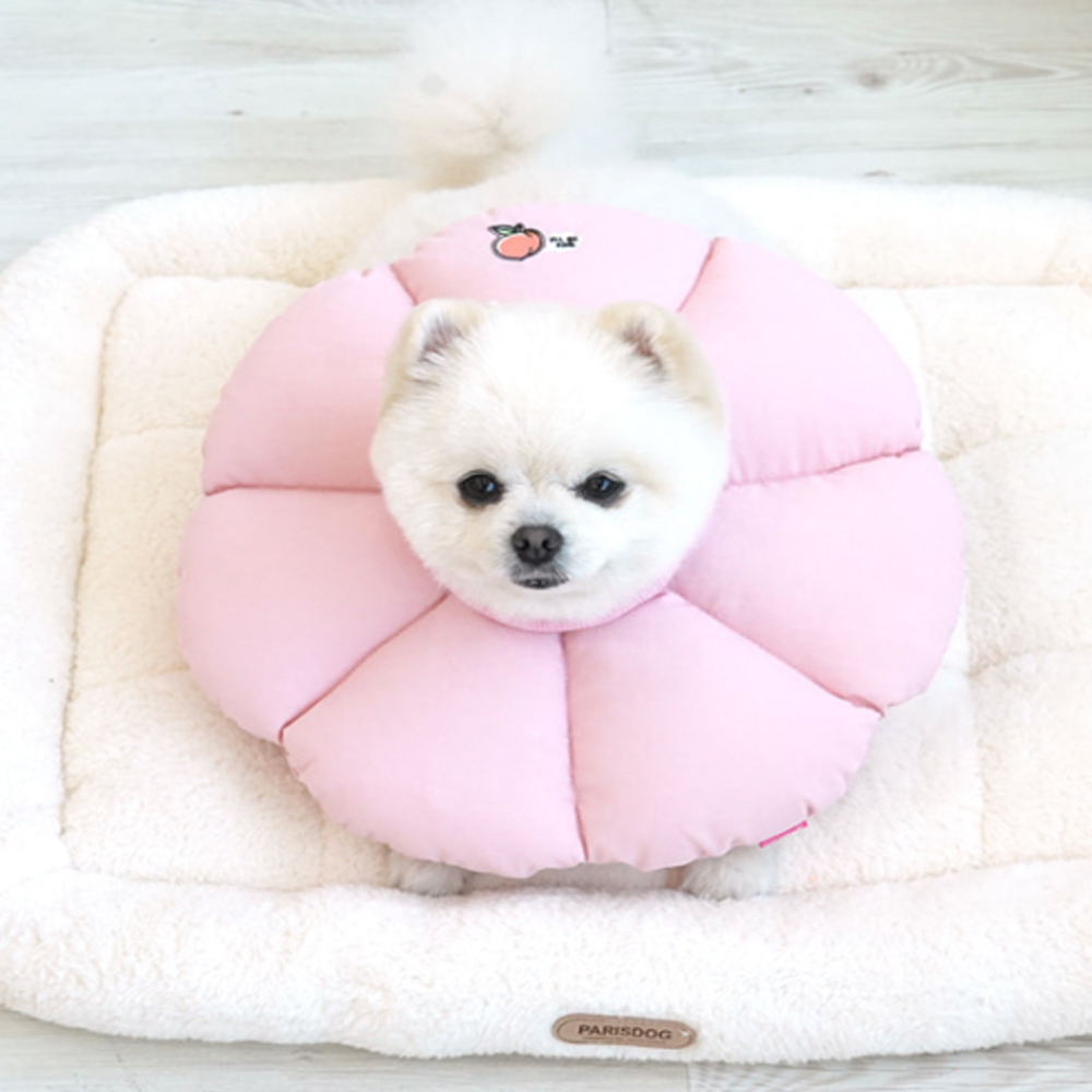 강아지 고양이 넥카라 중성화 수술 깔대기 발사탕 상처보호 꿀잠 핑크, S