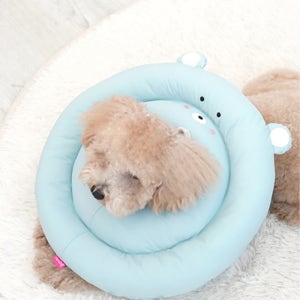 강아지 고양이 넥카라 중성화 수술 깔대기 발사탕 상처보호 베프 파랑(곰), 2XL