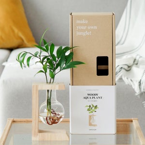 메이크정글 공기정화식물 수경재배화분 우디 2호