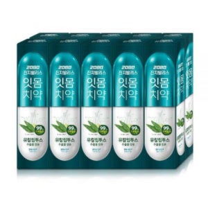 2080잇몸치약 진지발리스 유칼립투스 치약 치아관리 후레쉬민트향 150gX10입