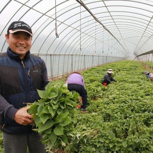 광고 메인 이미지