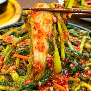 전라도식 햇 얼갈이열무김치 3kg 5kg (국내산 열무, 얼갈이 100%)