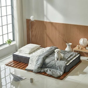 아카시아 원목 매트리스 깔판 패밀리 무헤드형, D(더블), 월넛