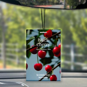 벨르아망 센트칩 차량용 방향제 자동차 샤쉐 걸이형 디퓨저 새차 선물 블랙체리