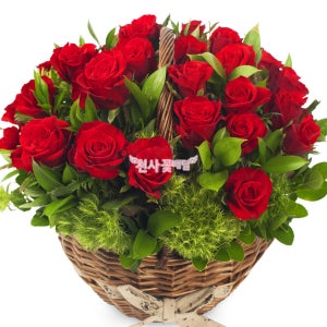 빨간장미꽃바구니 생일 결혼기념일 꽃바구니 축하 프로포즈 천사꽃배달
