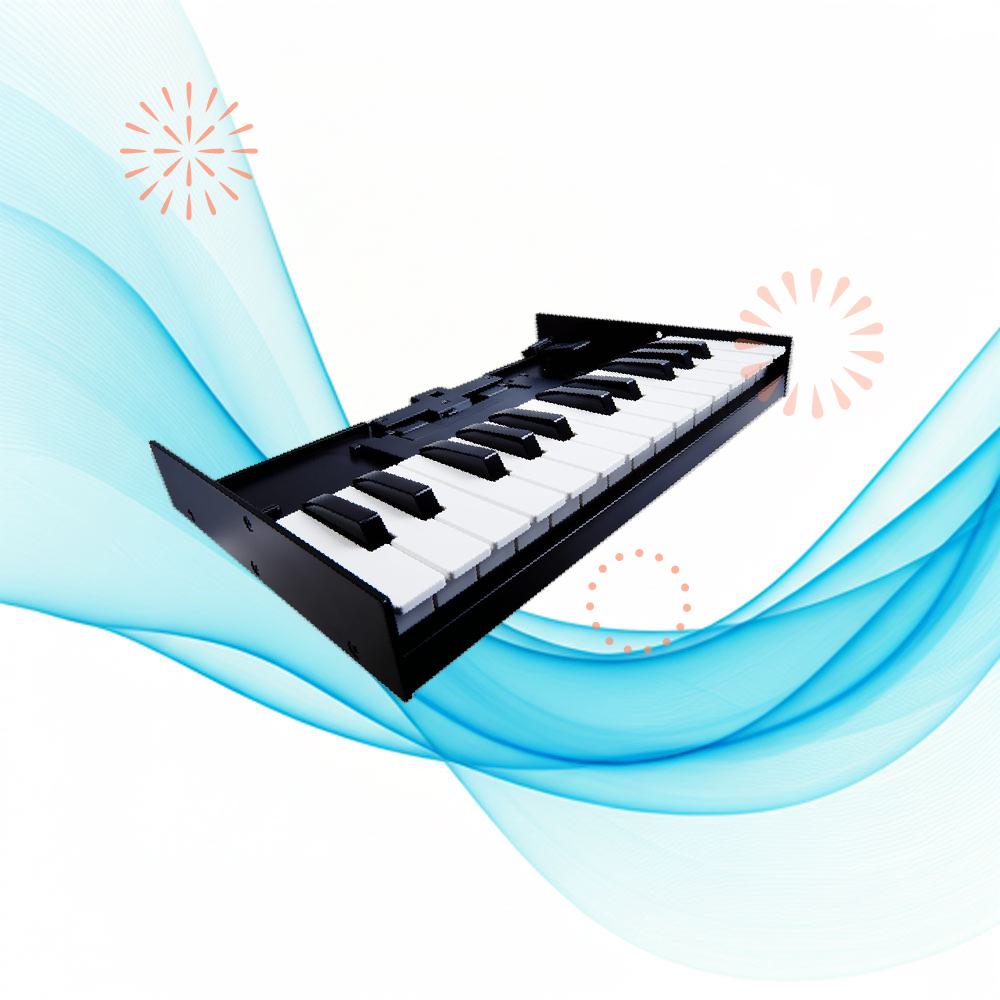 Roland 롤랜드 미디 키보드 K-25M 부티크 신스 모듈용 - 새로운 모델 DM