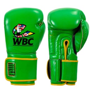 타이틀 복싱 WBC 에디션 백글러브 복싱글러브 14oz, 그린