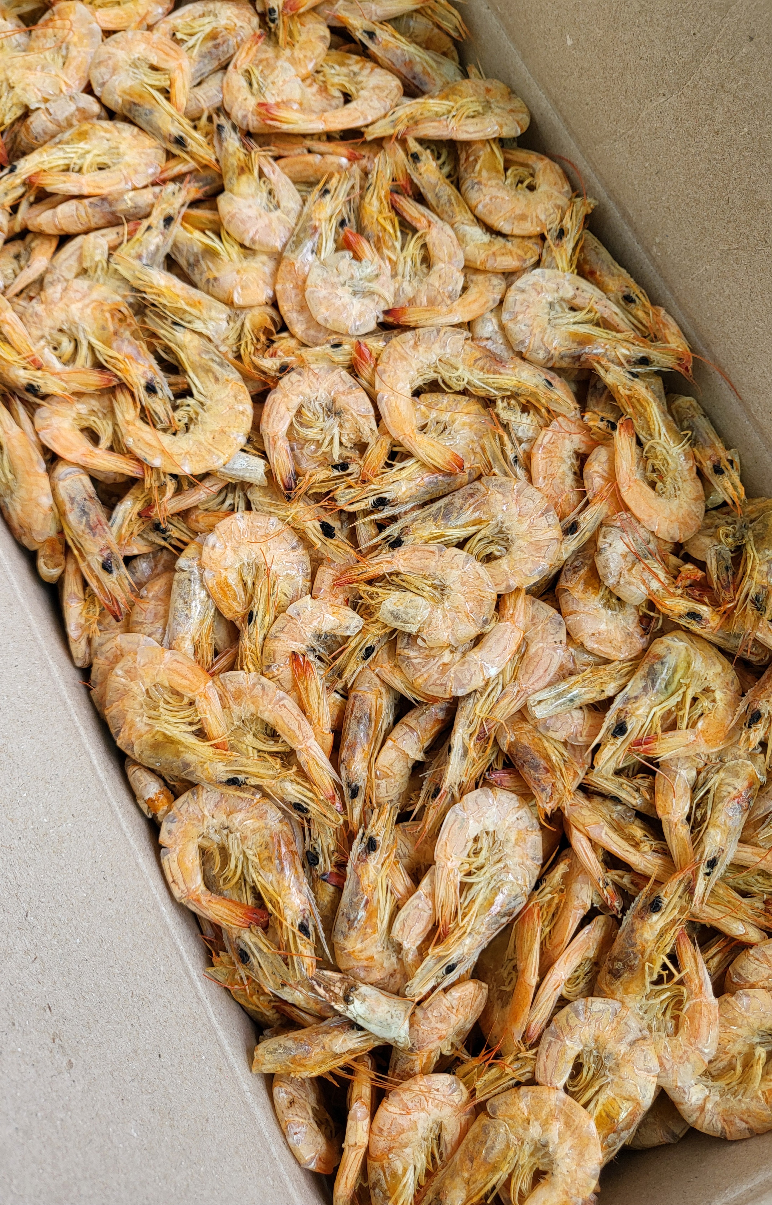 국내산 햇 국물새우 1.5kg 건새우 마른새우 업소용 국물용 육수용 건어물 도매 중부시장