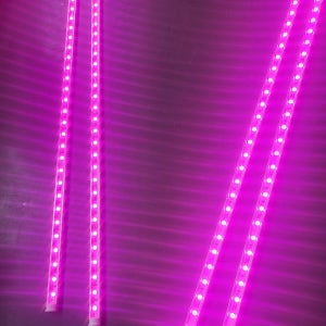 정육점 LED바 핑크색 1m LEDBAR12V /엘이디바 주문제작