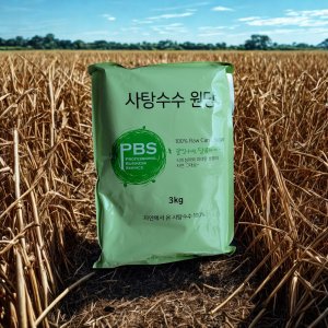사탕수수원당 비정제 설탕 원당 갈색 황색 3kg, 2개