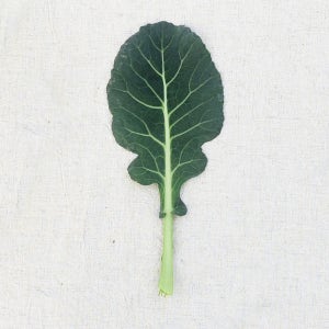 농장직송 케일 쌈 주스 그린스무디 쌈채소 샐러드야채 당일수확 2kg, 1개