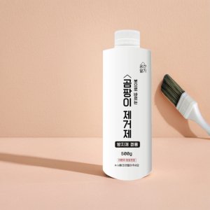장판 곰팡이 제거 강력한 집 안 곰팡이 제거 제거제
