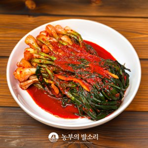 국산 전라도 여수 파김치