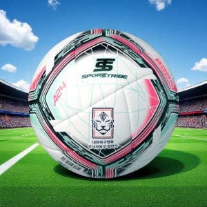 스포츠트라이브 A24 축구공 5호 - 전문선수 생활체육