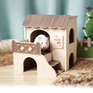 햄스터 은신처 스위트슈가 헤이즐넛 카페 은신처