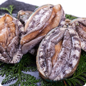 완도 활전복 7-8미1kg (특대) / 횟감 보양식 전복죽 선물세트