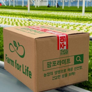 [업소용] 대용량 유러피안 샐러드 야채 2kg 3kg 4kg