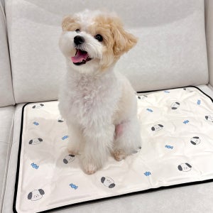페리가토 강아지 여름 쿨매트 고양이 쿨젤매트