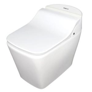 트레비 비스포크 비데 일체형 양변기 IPB-100S