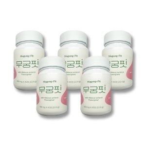 무궁핏 정 무궁화 평화 22.5g 500mg x 45정 5개