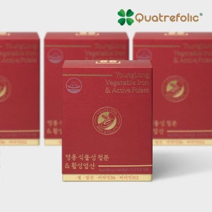 [3+1]영롱 식물성 철분&활성엽산/비건 복합 커리나무잎 철분제 임산부 출산후 청소년