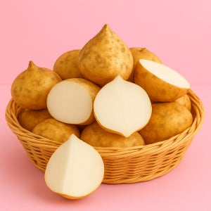 [히카마] 혈당조절 베트남산 멕시코감자 얌빈 차 즙 효능 10kg, 1개
