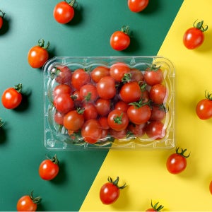 스테비아 토마토 망고마토 방울 대추방울 허니 샤인 토망고 500g+500g