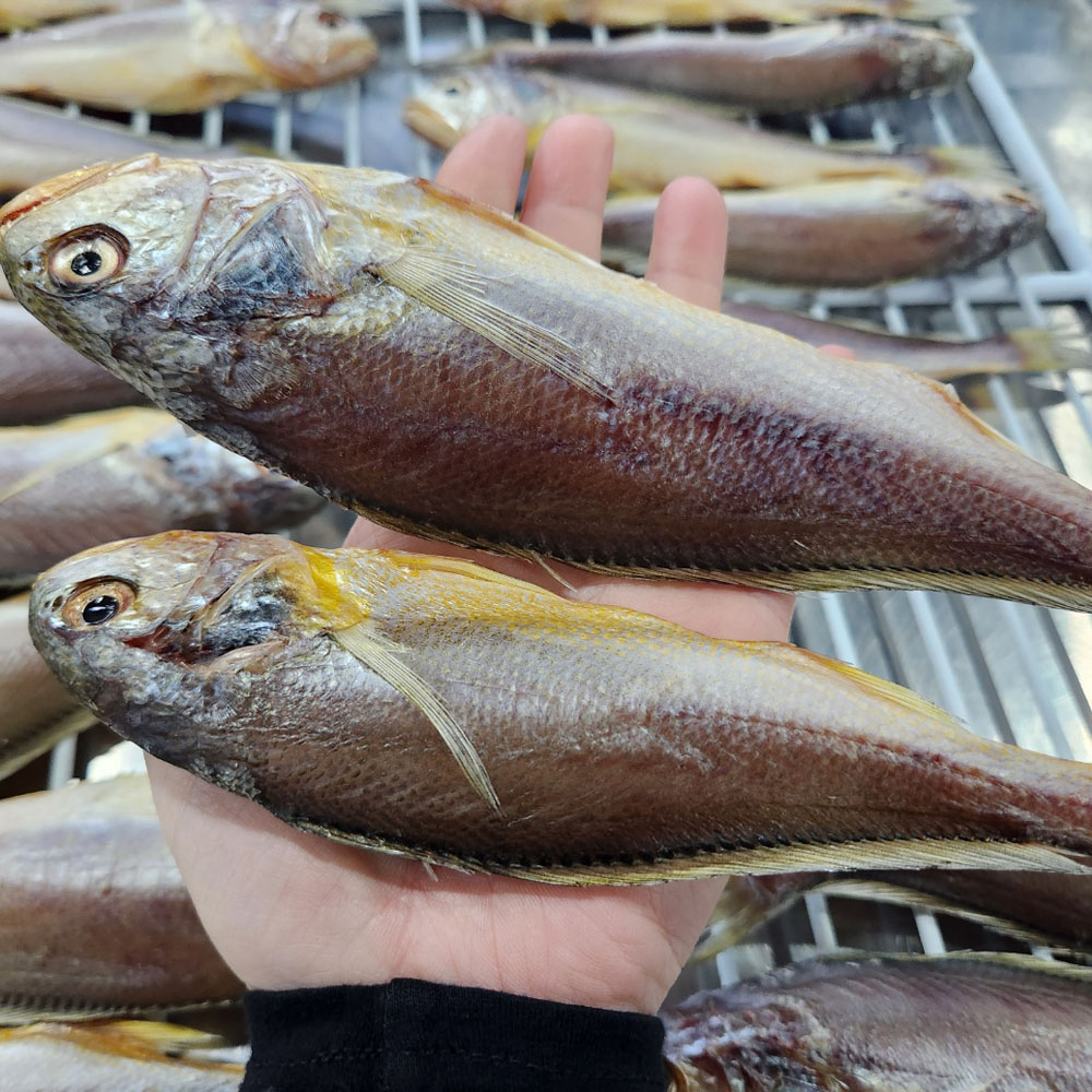 목포 조기, 반건조 조기, 조기, 가정용, 식당용, 목포수산물