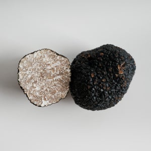 [여름] 썸머 트러플 특상급 30g등 블랙 생 송로버섯 생트러플