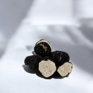이탈리아산 B급 썸머 생트러플 움브리아 여름 송로버섯 30g