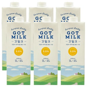 갓밀크 우유 1L, 6개