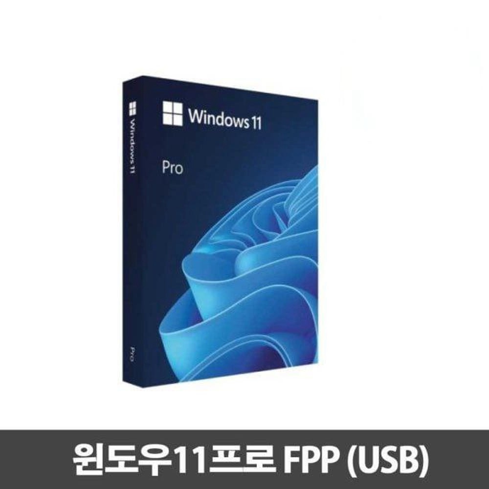 MS윈도우11PRO FPP처음사용자용 USB타입