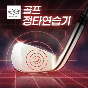 [훈골프] 미니헤드 아이언 정타 연습기 스윗스팟 분석 HL009