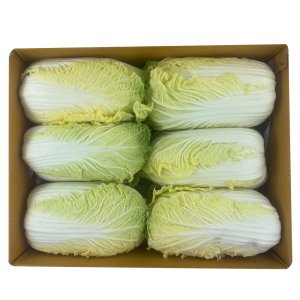 국내산 알배추 알배기 배추 12통