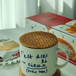 캐나다 국민 간식 메이플 스트룹와플 쿠키 33g 16개입