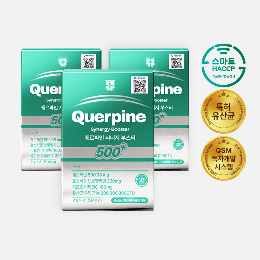 퀘르파인 시너지 부스터 퀘르세틴 브로멜라인 소포레틴 케르세틴 퀘르틴산 특허 유산균