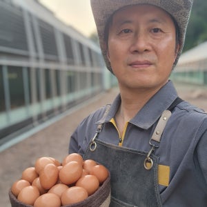 난각번호1번 계란 NonGMO 자연방사 유정란 72시간 발효사료 한방영양제 20구 30구 40구 60구