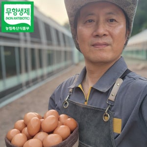 난각번호1번 계란 NonGMO 자연방사 무항생제 유정란 72시간 발효사료 한방영양제 20구 30구 40구 60구
