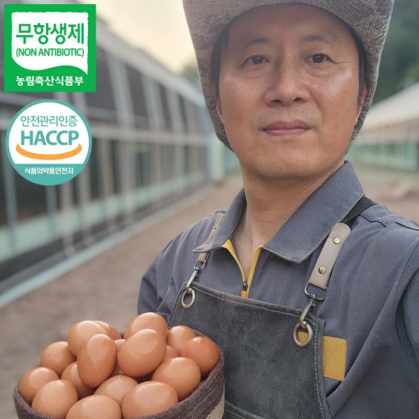 난각번호1번 계란 NonGMO 자연방사 무항생제 유정란 72시간 발효사료 한방영양제 20구 30구 40구 60구