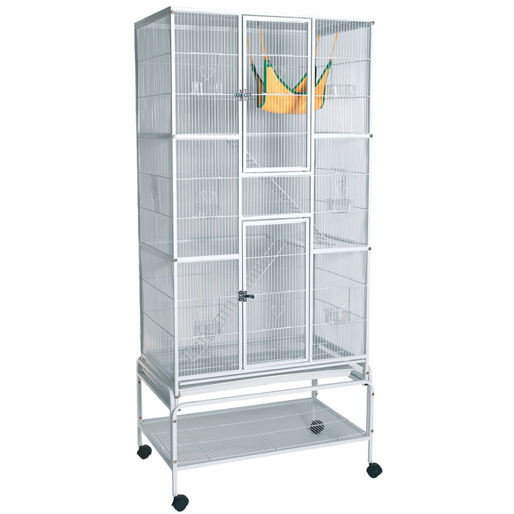 앵무새 (Pet Parrot 사육가이드)