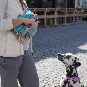 아이캔더 어반 익스플로어 힙색 강아지산책가방 보냉백 휴대폰가방