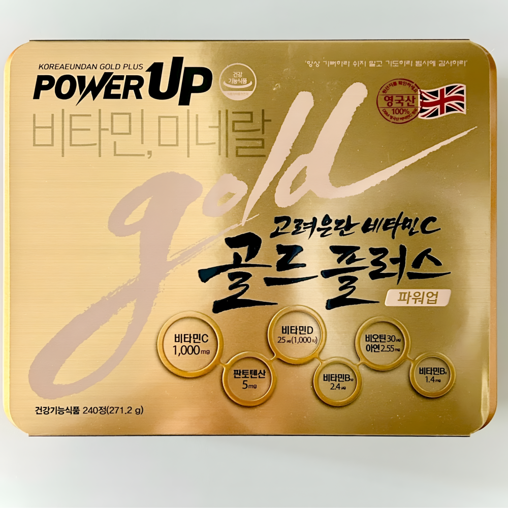 고려은단 비타민C 1000 골드플러스 파워업 비타민씨 대용량 영양보충 240정, 1개