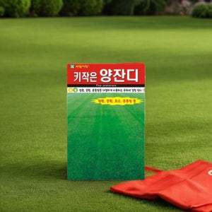 키작은 양잔디 씨앗 혼합 종자 산소 정원 잔디 풀씨 씨 씨앗